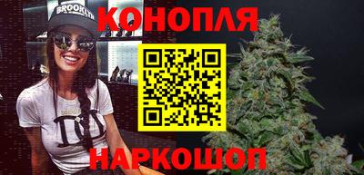 гидропоника Камышлов