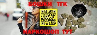 гидропоника Камышлов