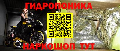 прущие грибы Кандалакша