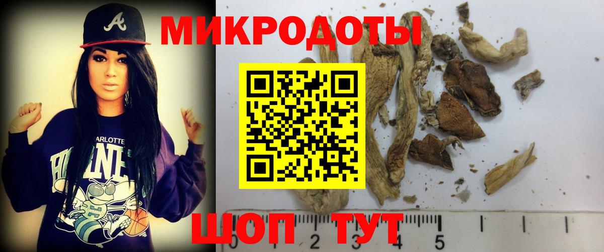 Псилоцибиновые грибы Psilocybe  Псилоцибиновые грибы мицелий  Лениногорск  Вход с VPN 